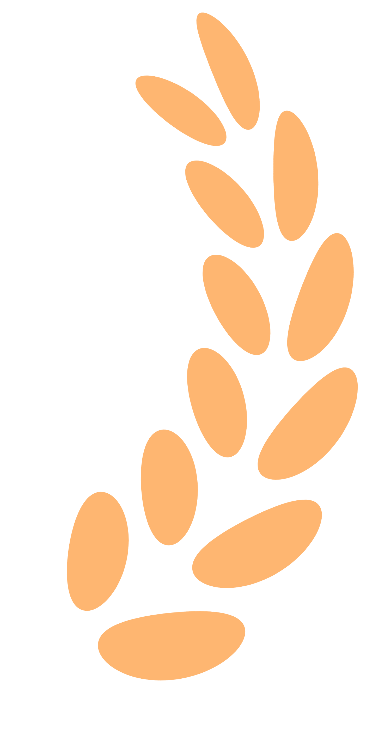 1754288551202668