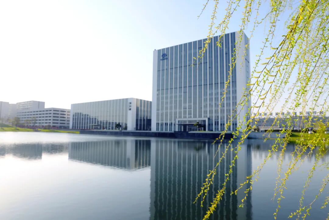 1769441529377134 1769441529377134