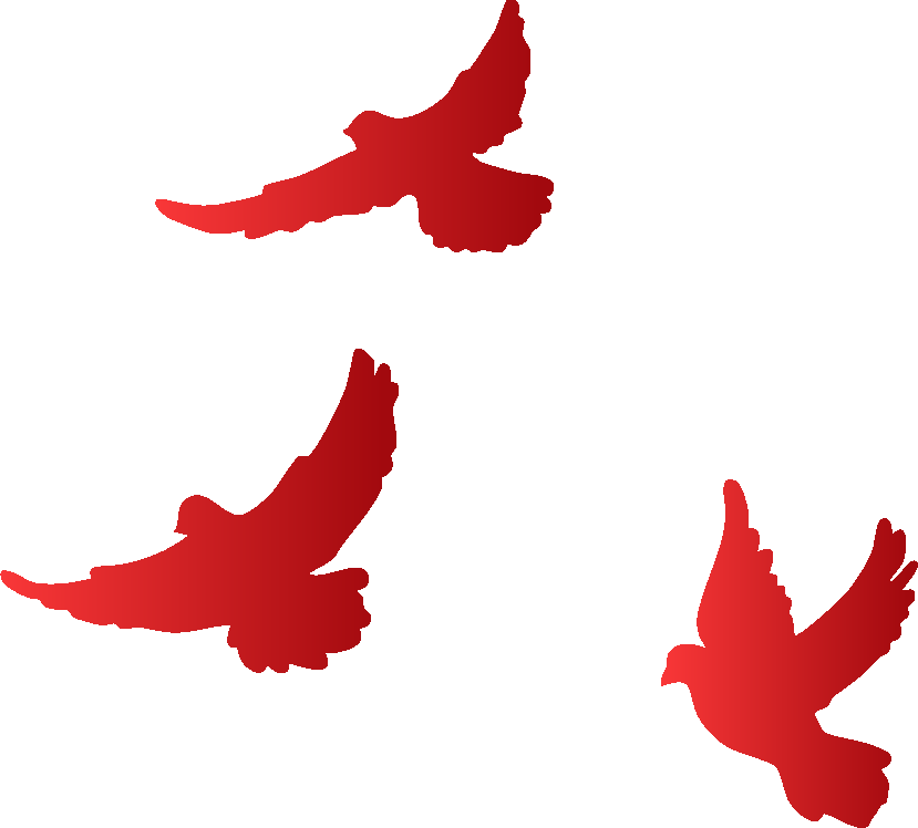 1773382141237356 1773382141237356